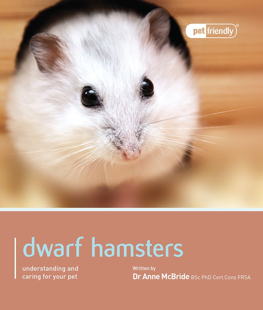 Dwarf Hamsters.