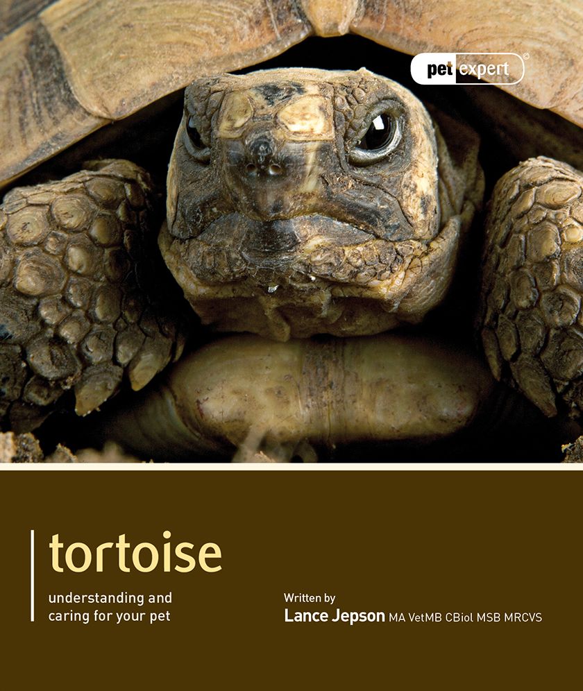 Tortoise: Pet Book
