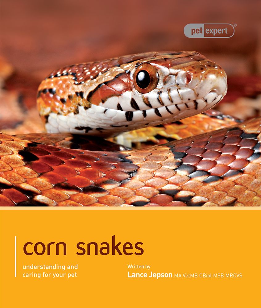 Corn Snake: Pet Book