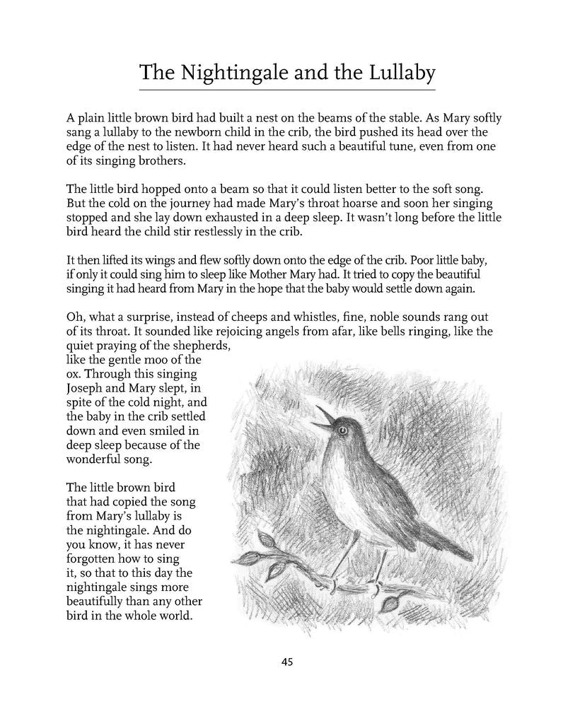Advent and Christmas Stories: A Treasury of Stories, Verses, and Songs