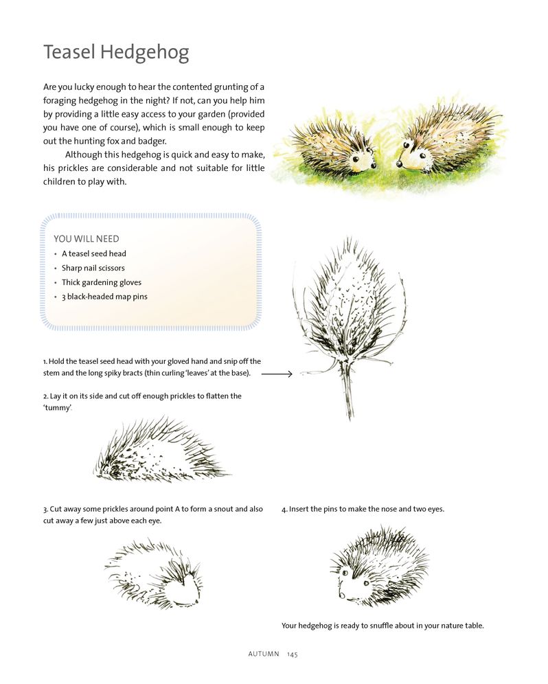 Making the Children's Year: Seasonal Waldorf Crafts with Children