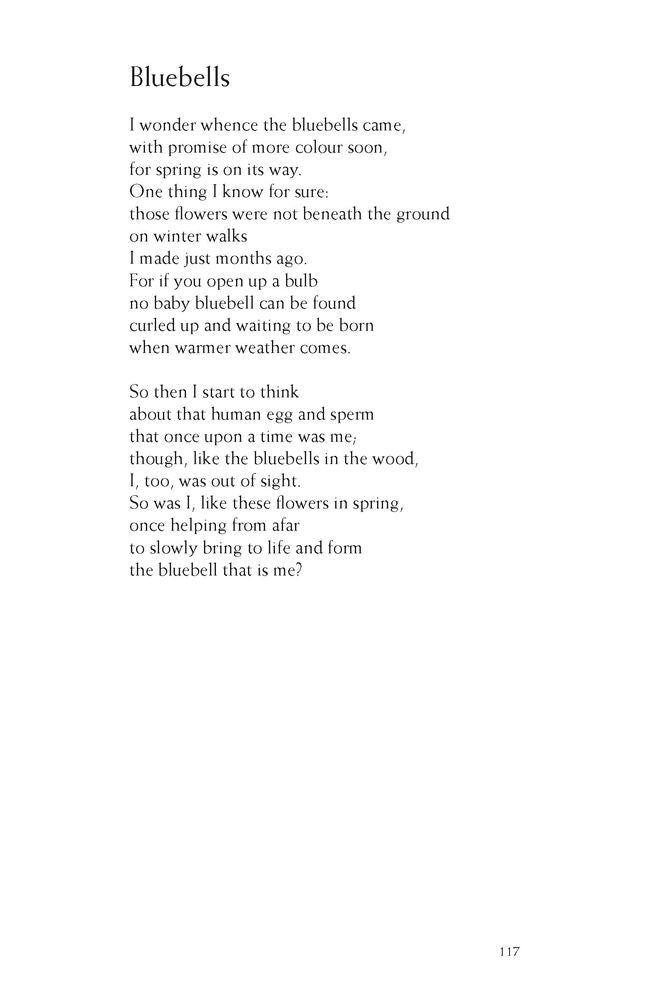 No Shore Too Far: Meditations on Death, Bereavement, and Hope