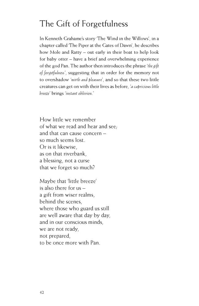 No Shore Too Far: Meditations on Death, Bereavement, and Hope