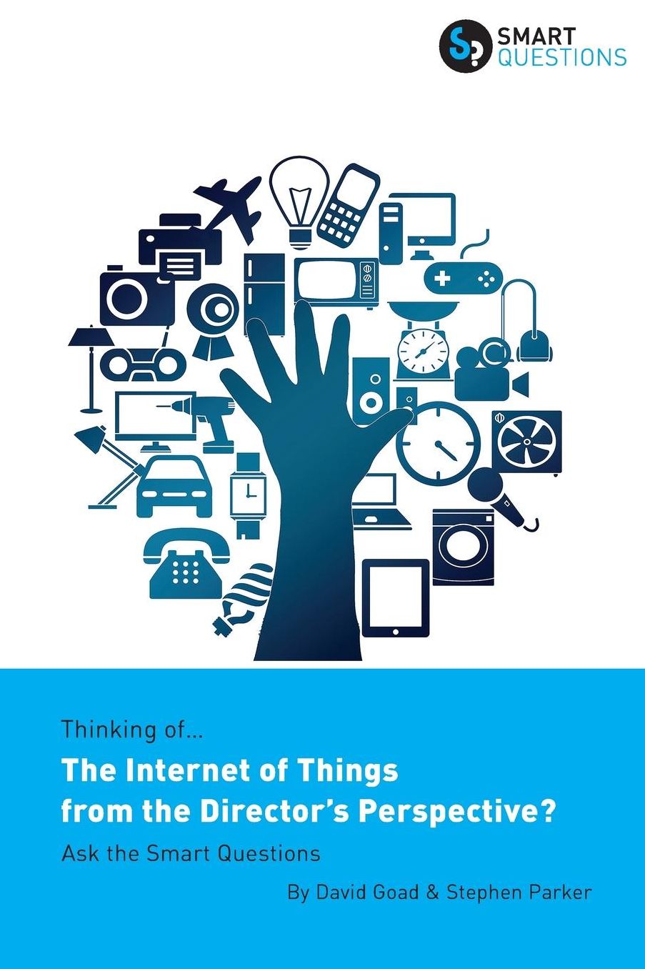 Thinking of... The Internet of Things from the Director's Perspective? Ask the Smart Questions