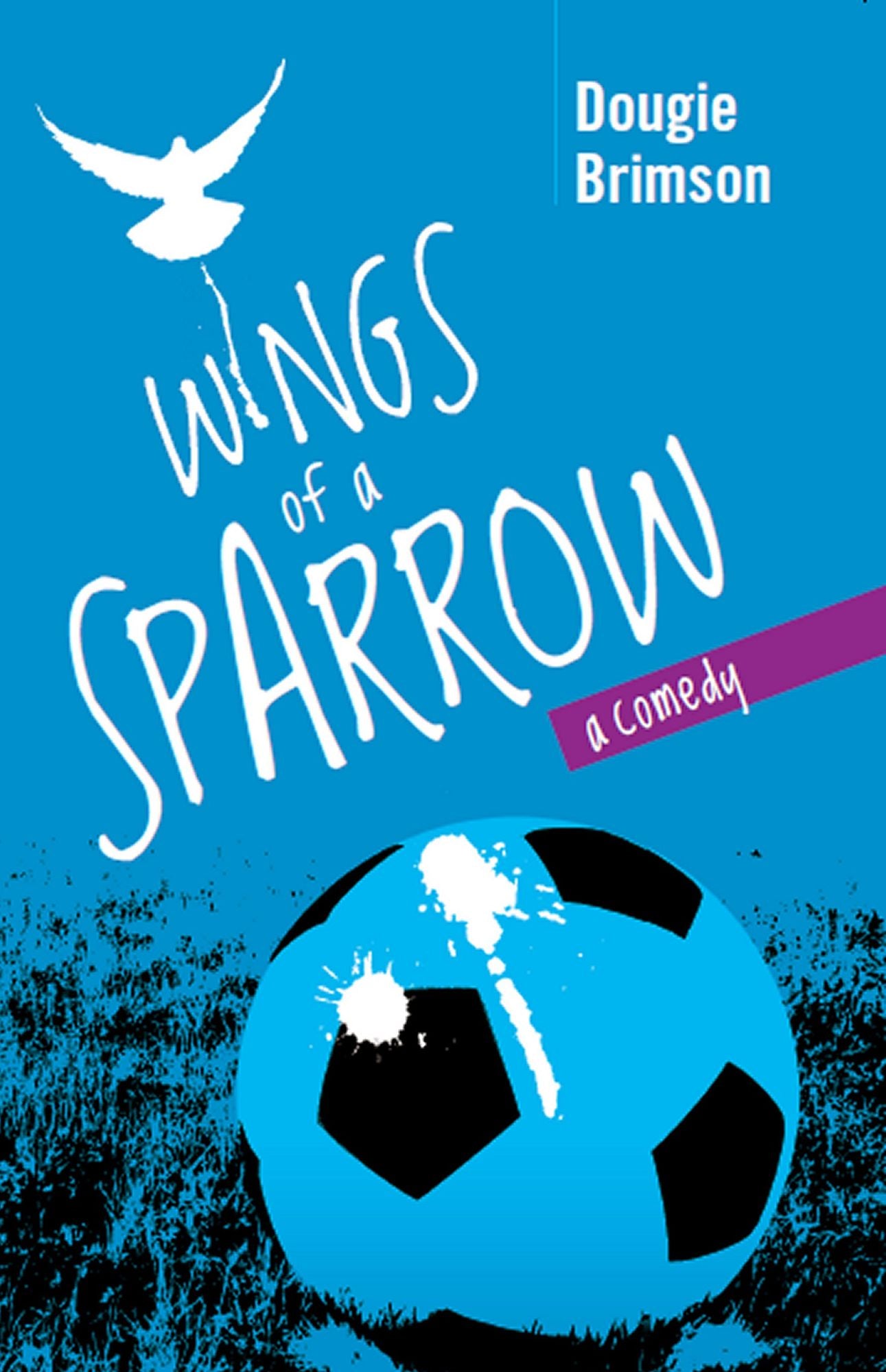 Wings Of A Sparrow