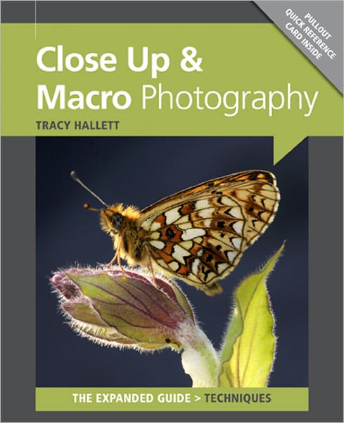 Close Up & Macro Photography