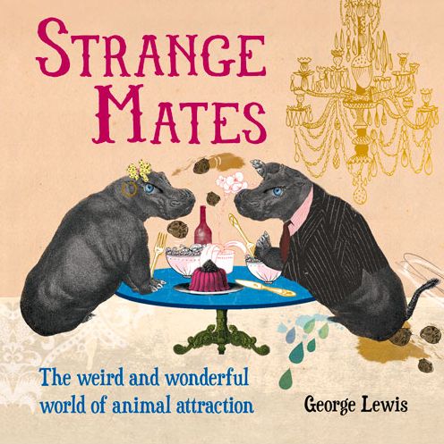 Strange Mates: The Weird and Wonderful World of Animal Attraction