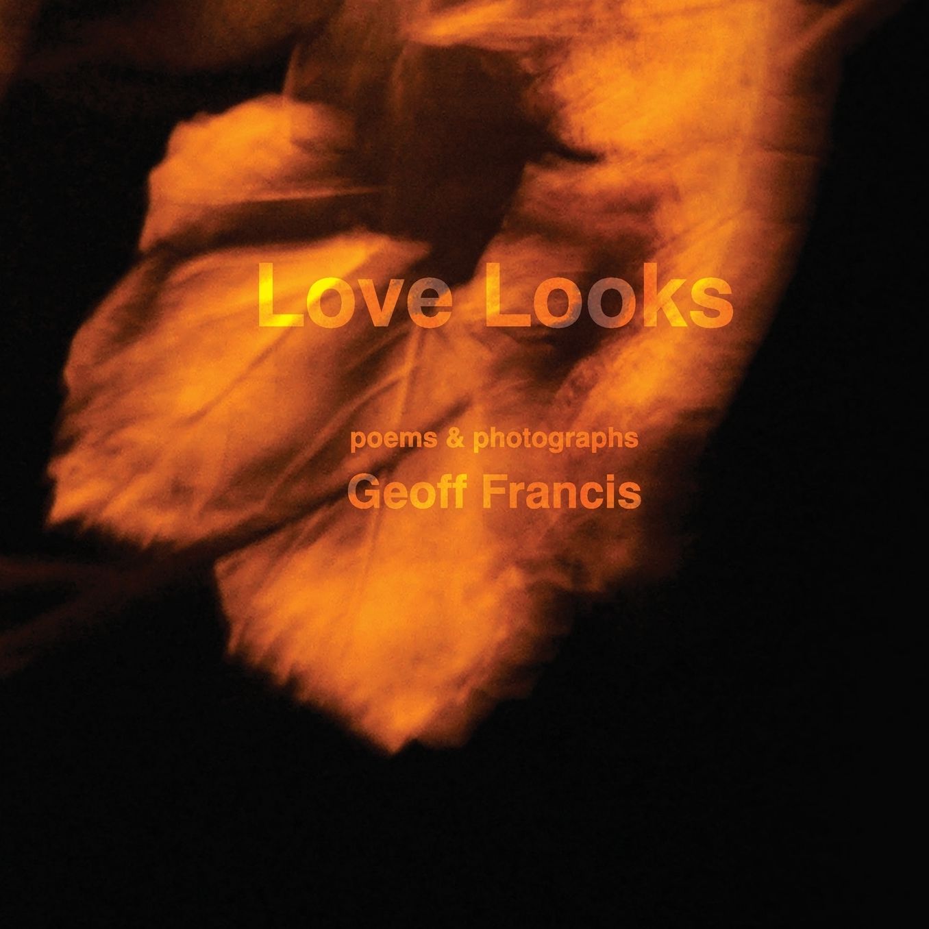 Love Looks