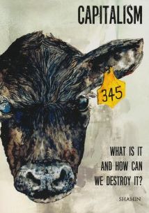 Capitalism: What Is It and How Can We Destroy It?