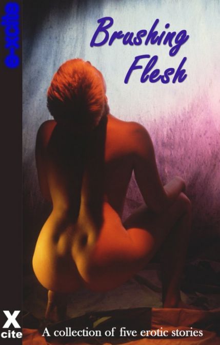 Brushing Flesh: A collection of five erotic stories