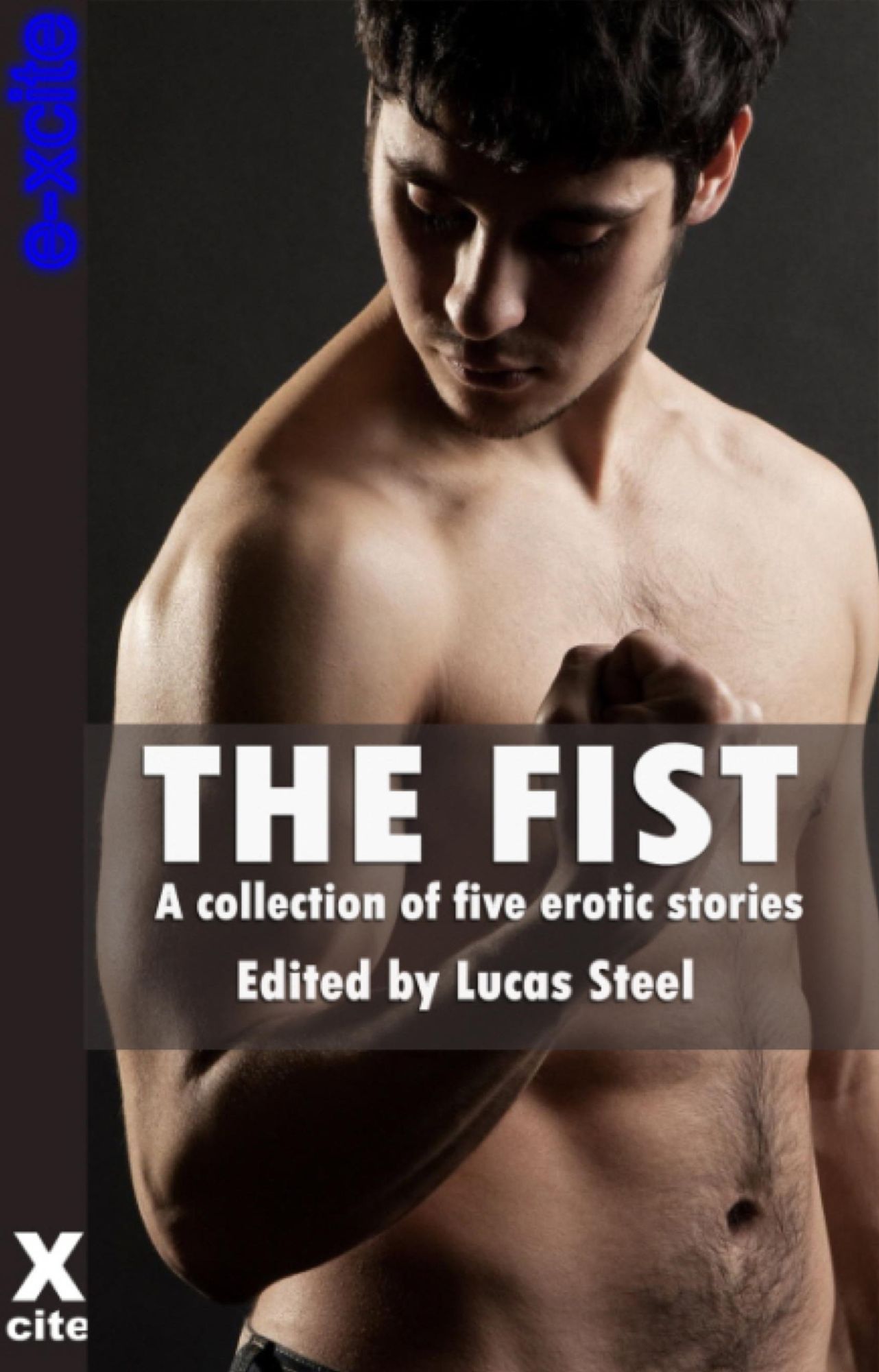 The Fist: A collection of gay erotic stories