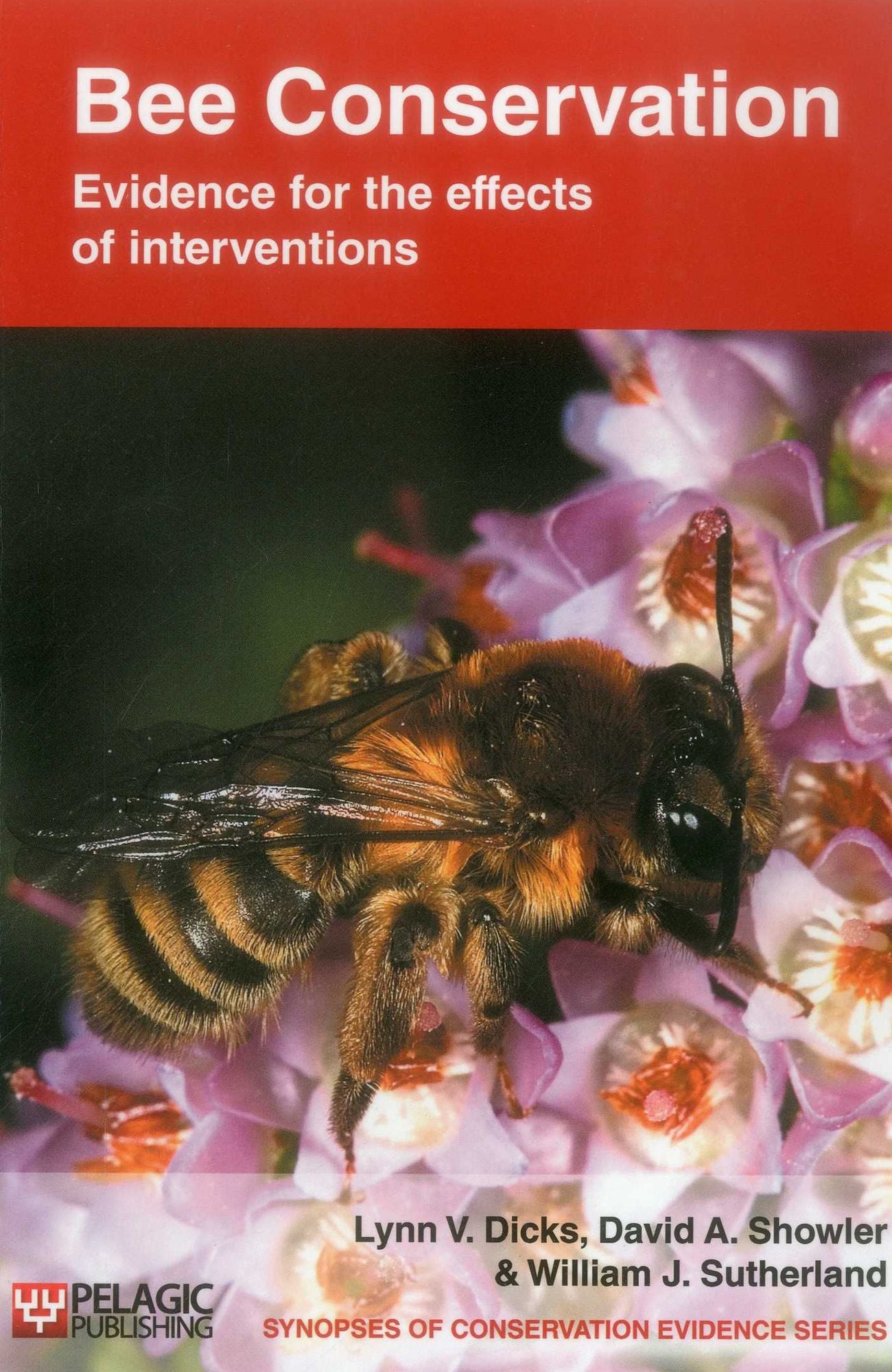 Bee Conservation: Evidence for the effects of interventions