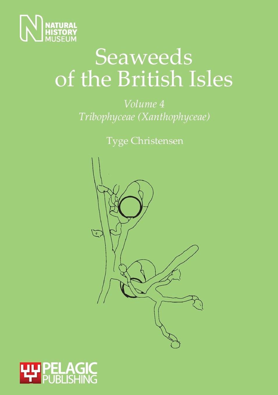 Seaweeds of the British Isles: Tribophyceae (Xanthophyceae)