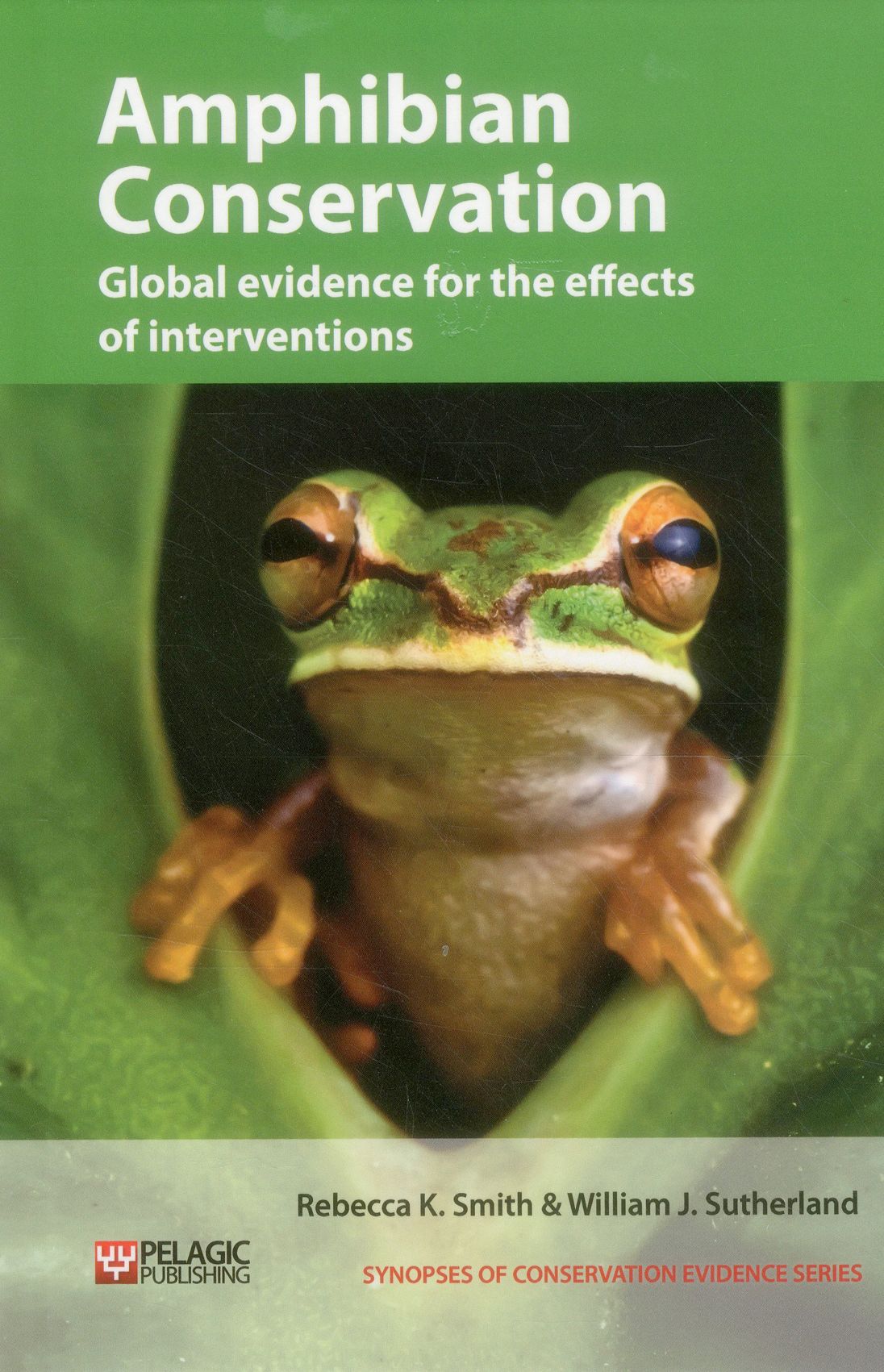 Amphibian Conservation: Global evidence for the effects of interventions