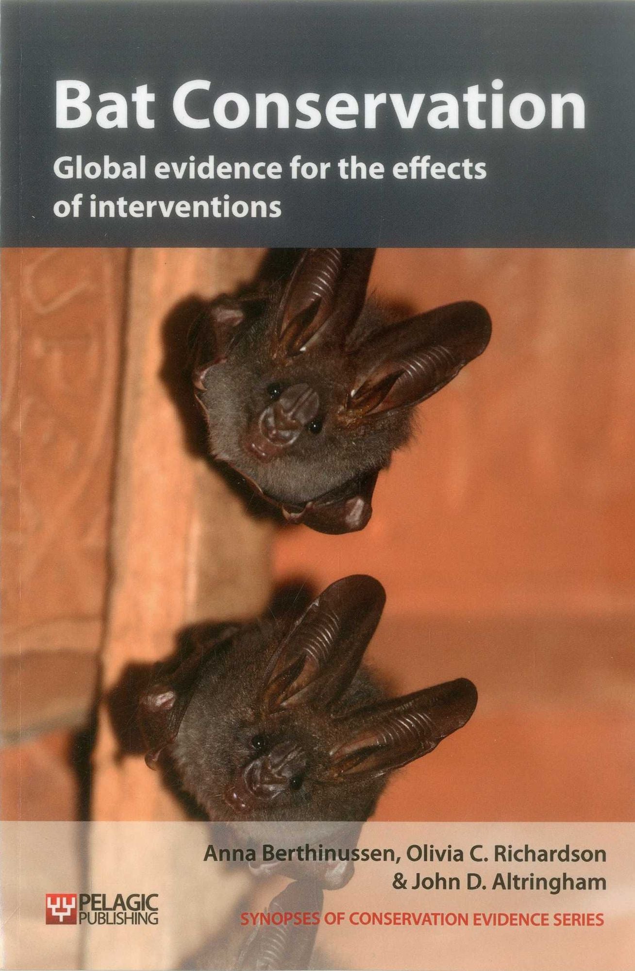 Bat Conservation: Global Evidence for the Effects of Interventions