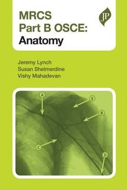 Anatomy