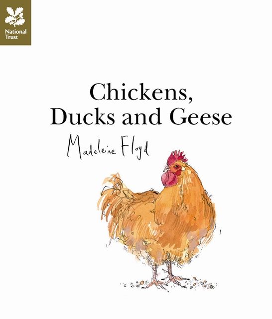 Chickens, Ducks and Geese