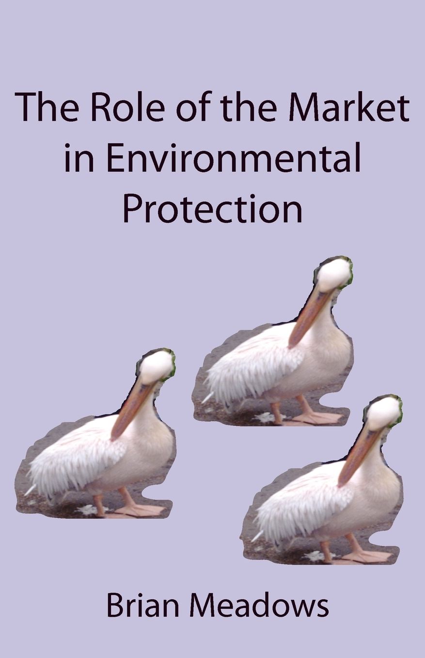 The Role Of The Market In Environmental Protection