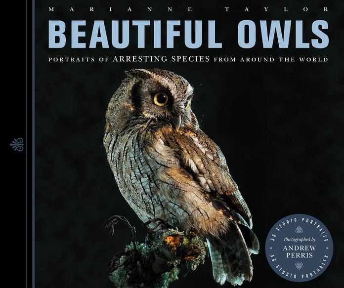 Beautiful Owls