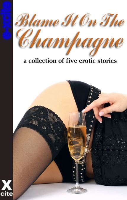 Blame It On The Champagne: A collection of five erotic stories