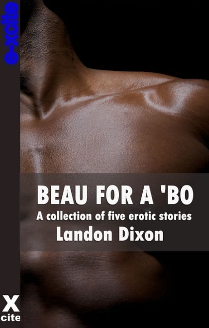Beau For A Bo: A collection of gay erotic stories