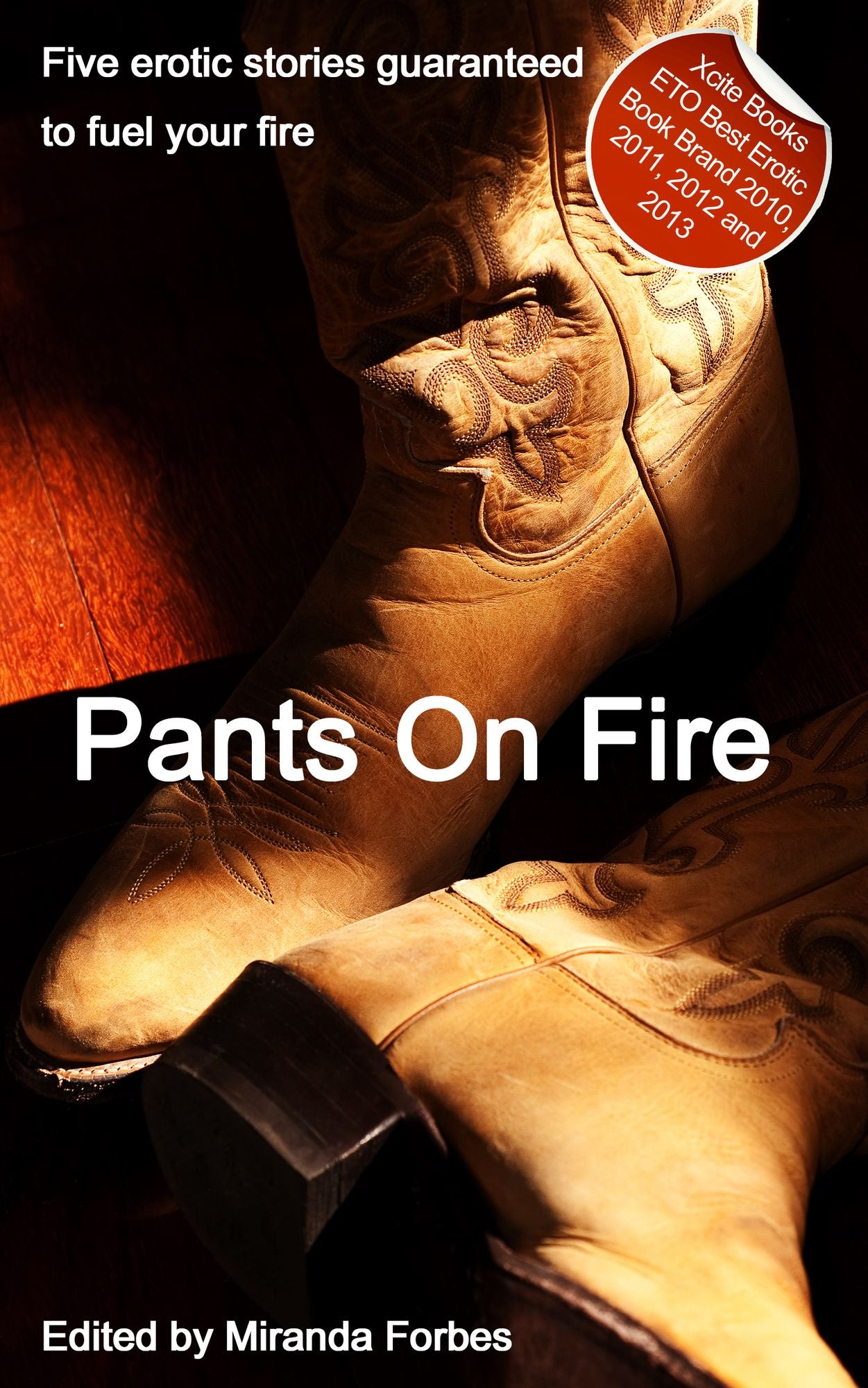 Pants on Fire: A collection of five erotic stories