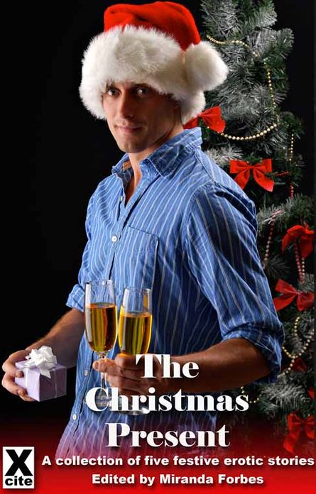 The Christmas Present: A collection of five festive erotic stories