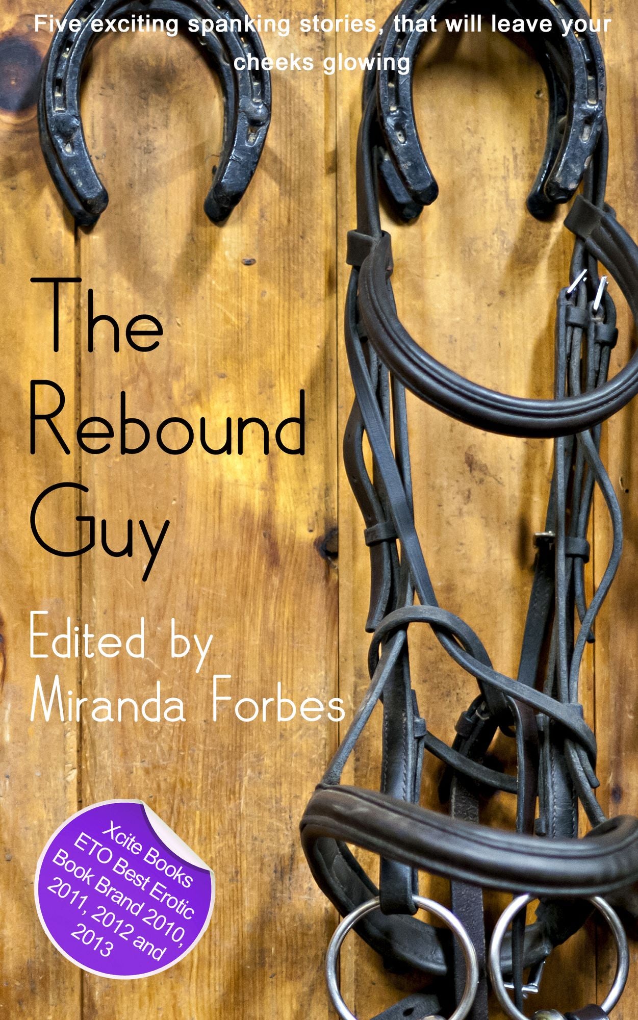 The Rebound Guy: A collection of five erotic stories