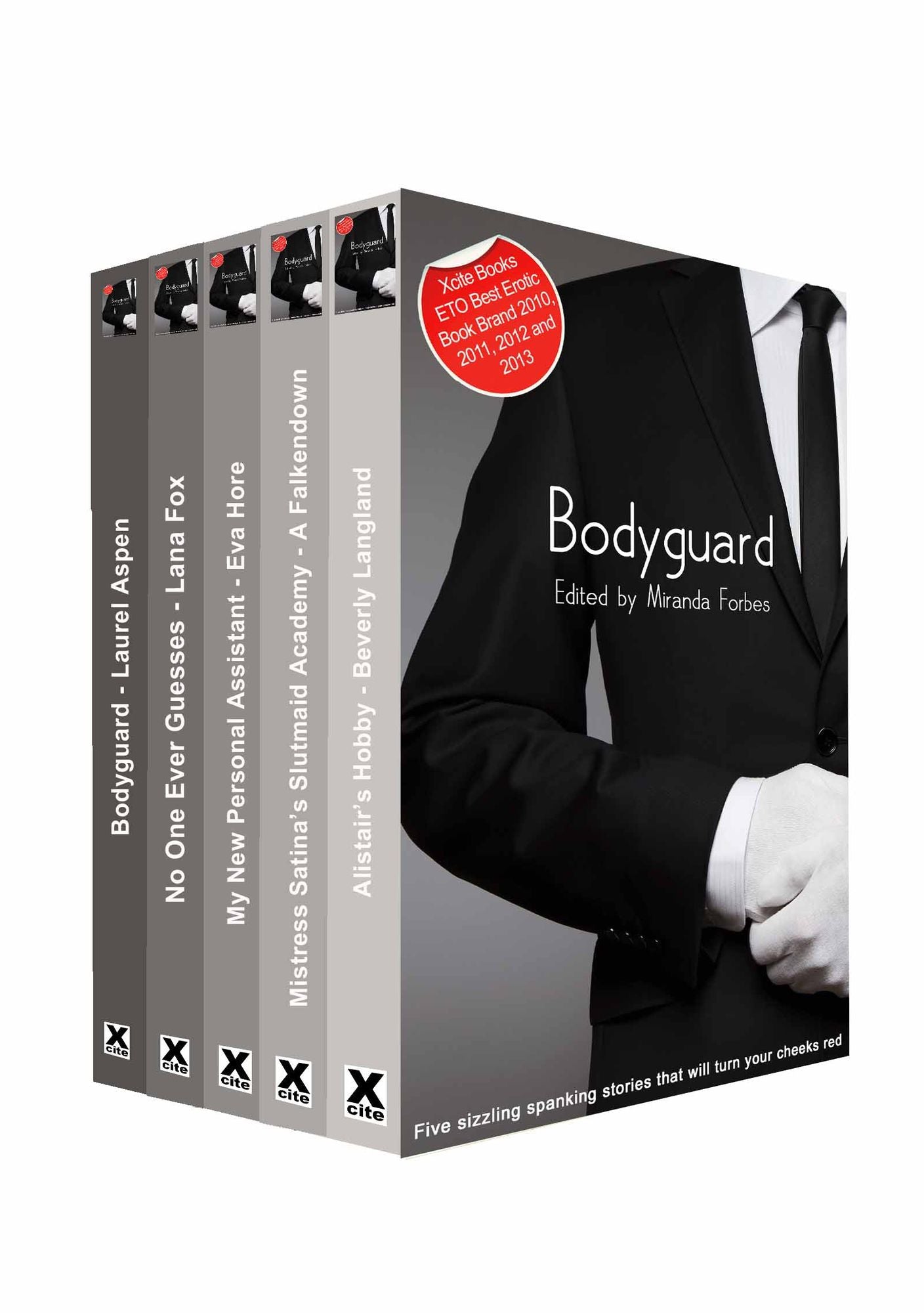 Bodyguard: A collection of five erotic stories