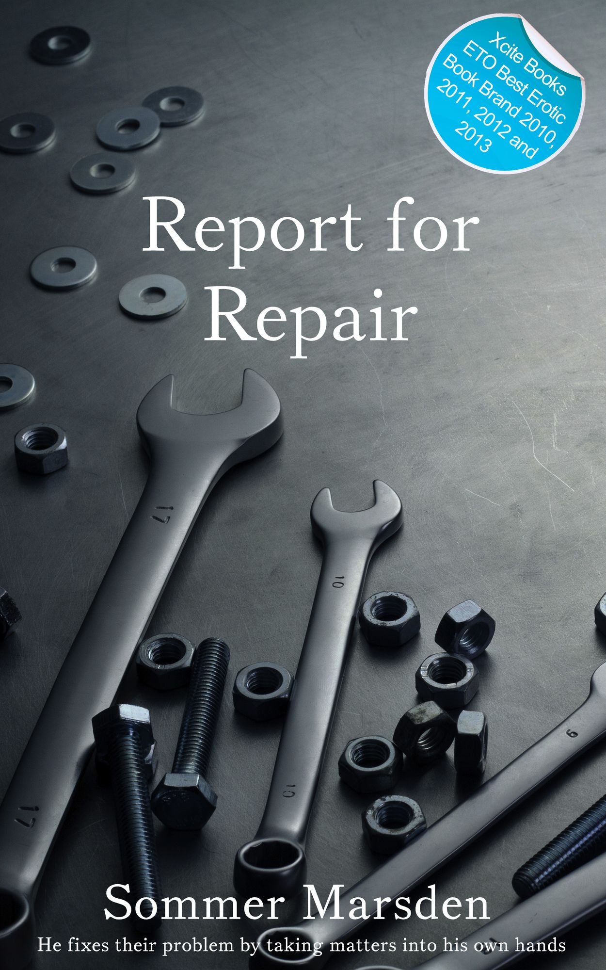 Report for Repair: Erotic Gay Fiction