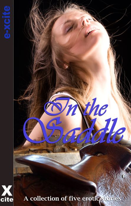 In The Saddle: A collection of five erotic stories