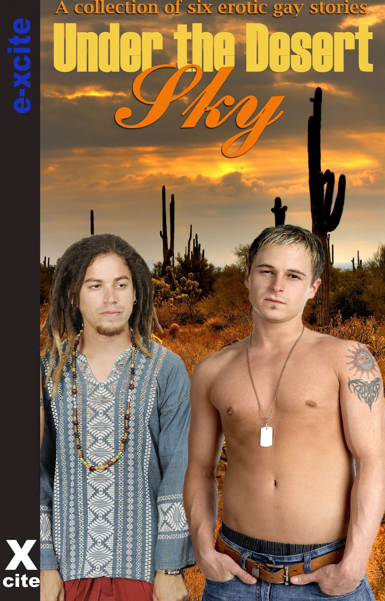 Under the Desert Sky: Gay erotic fiction