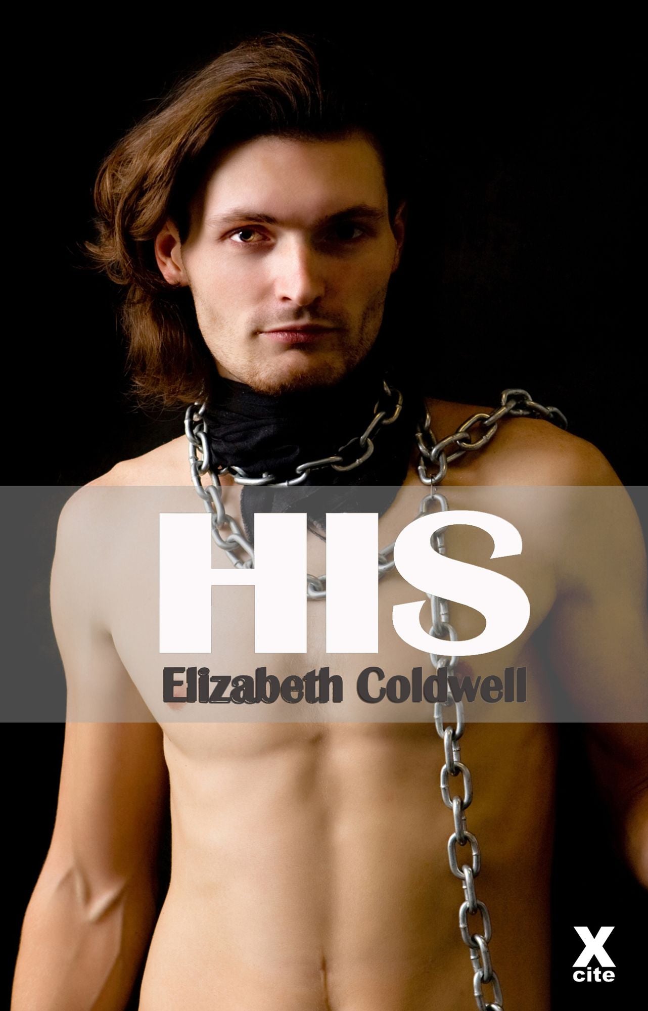 His: Gay erotic fiction