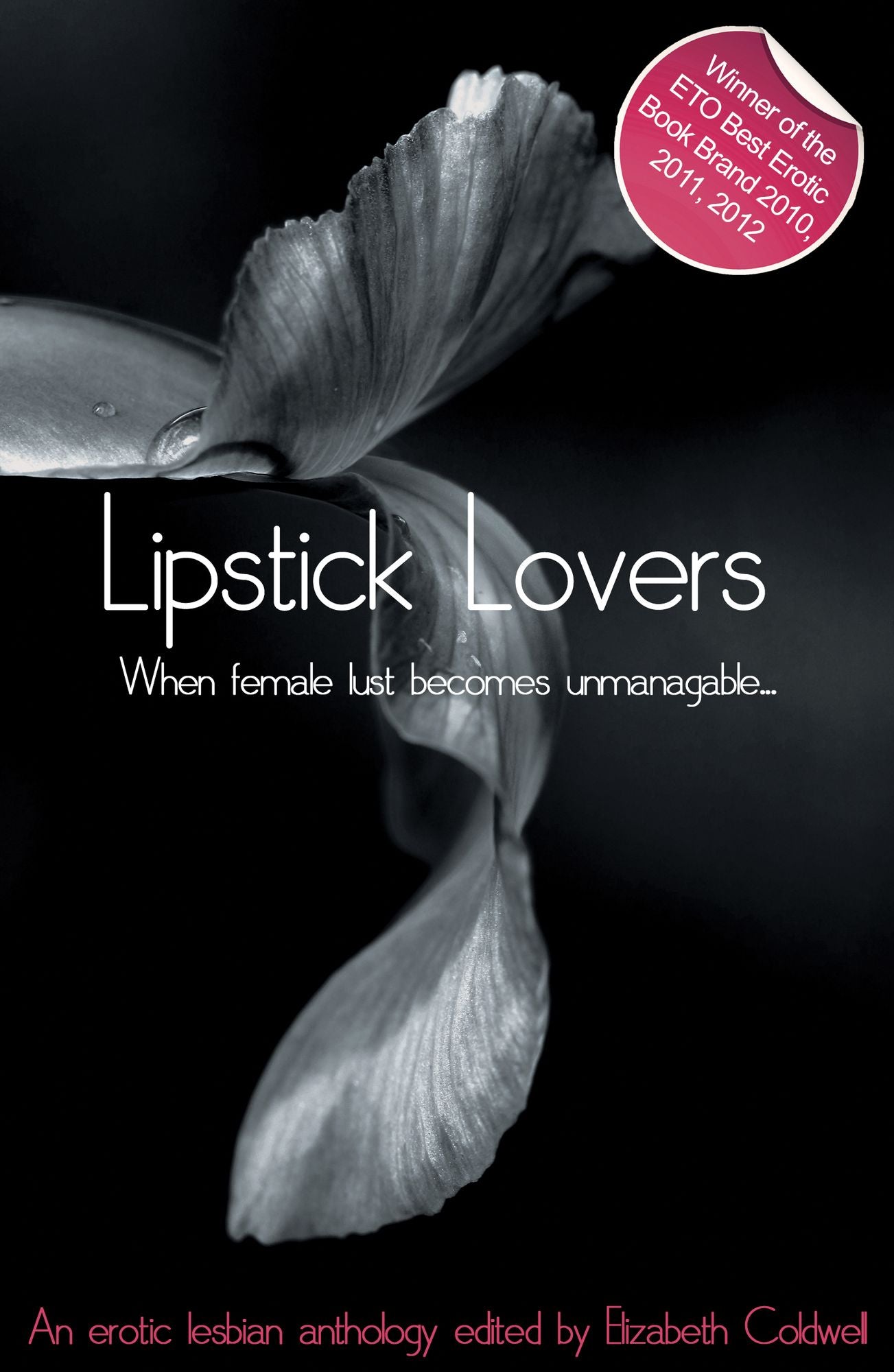 Lipstick Lovers: 20 lesbian stories