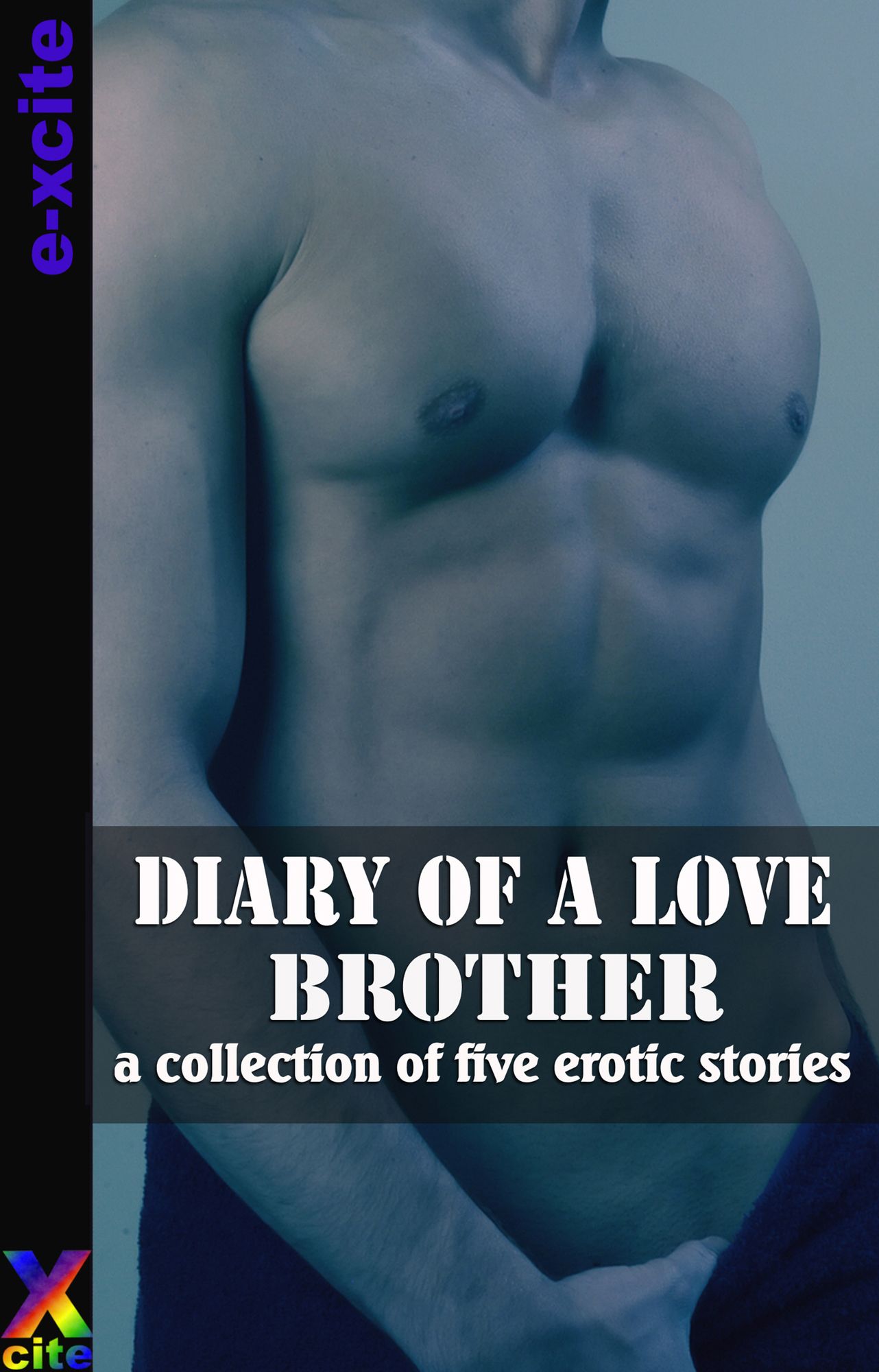 Diary of a Love Brother: A collection of gay erotic stories