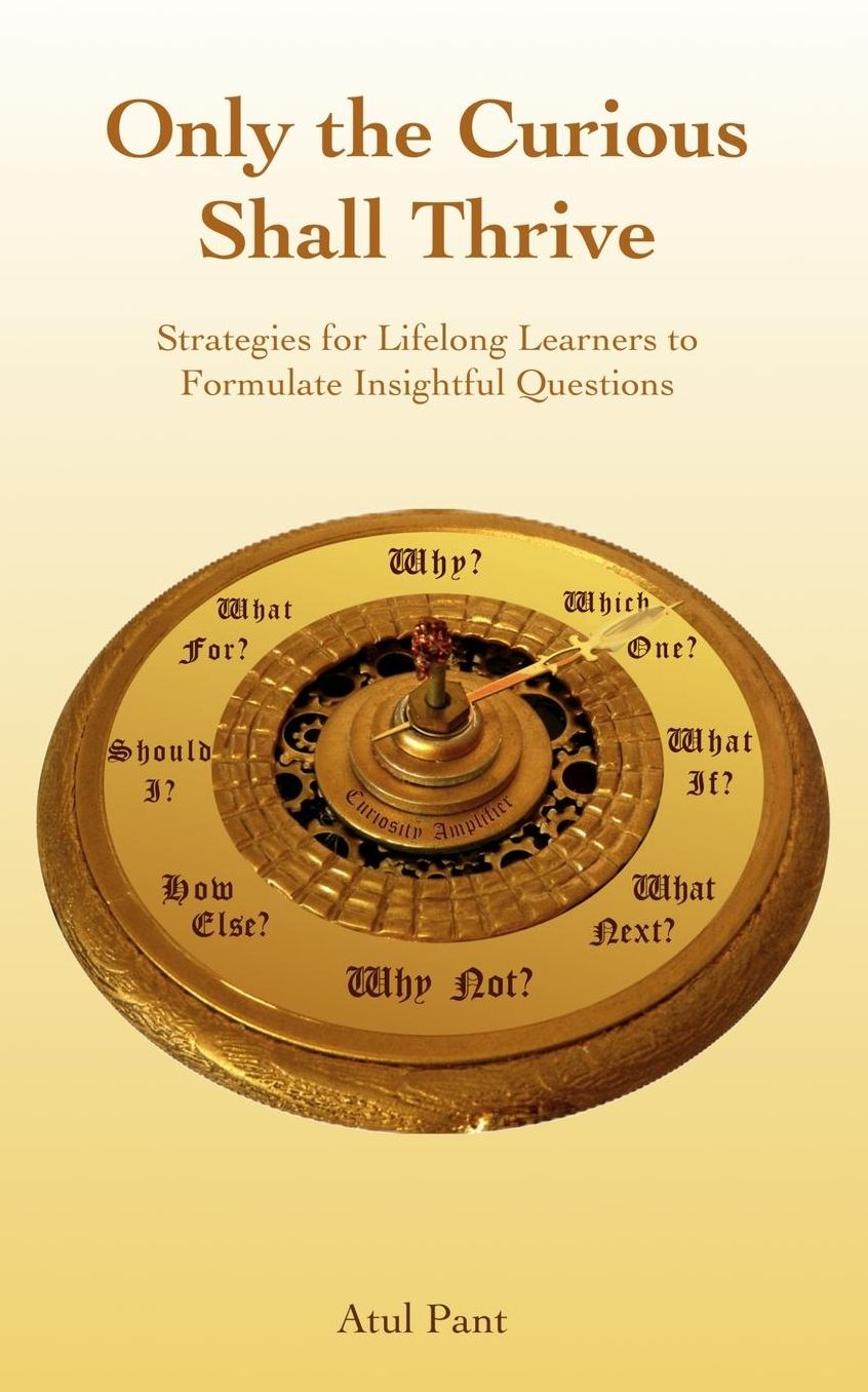 Only the Curious Shall Thrive: Strategies for Lifelong Learners to Formulate Insightful Questions