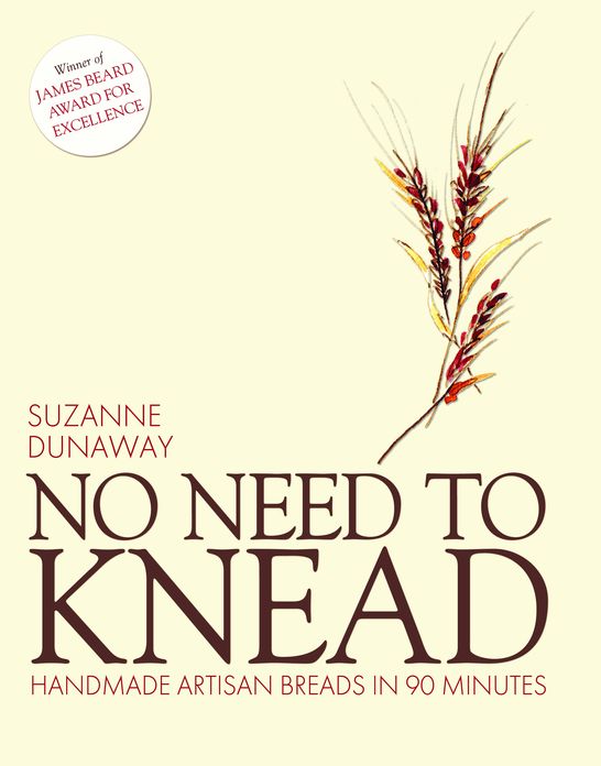 No Need to Knead: Handmade Artisan Breads in 90 minutes