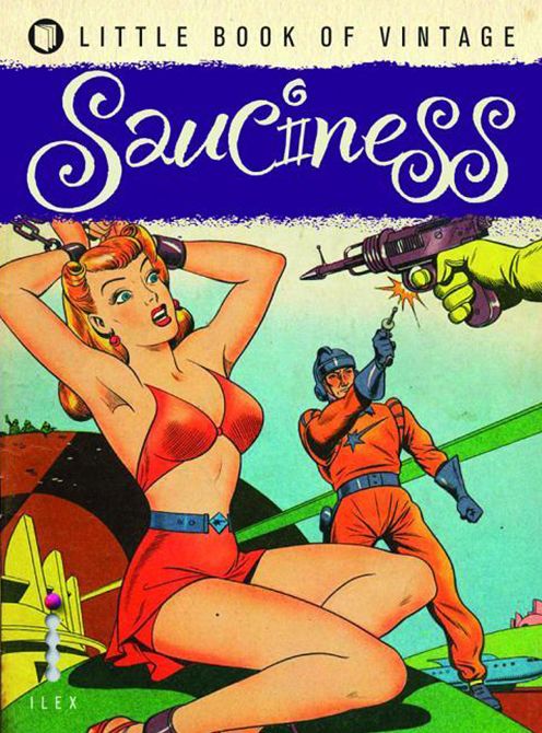 The Little Book of Vintage Sauciness