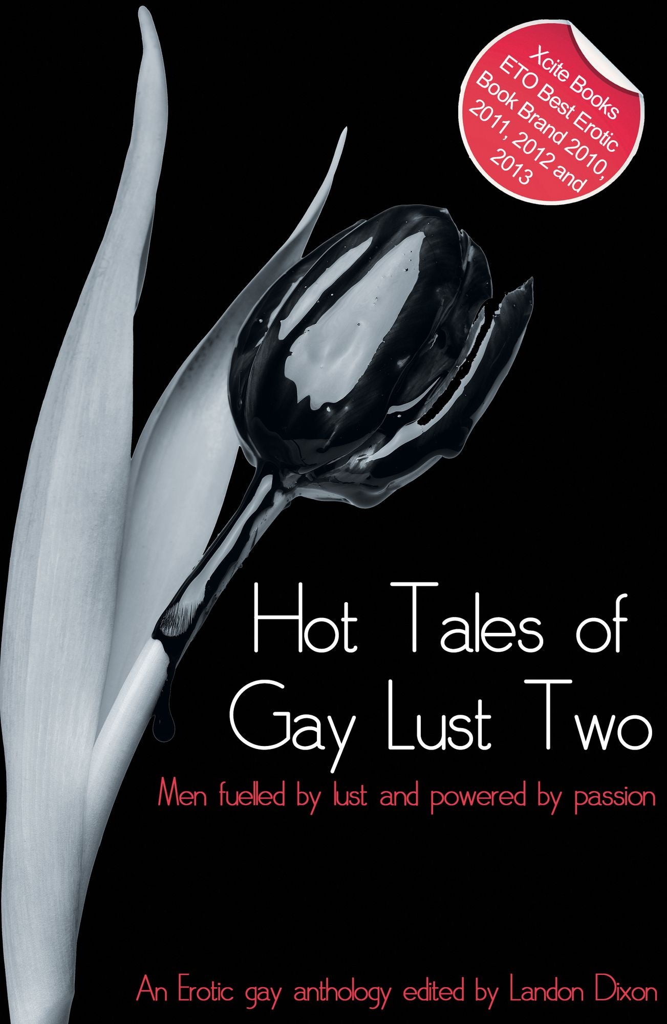 Hot Tales of Gay Lust Two: Gay erotic fiction
