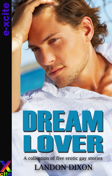 Dream Lover: A collection of five gay erotic short stories