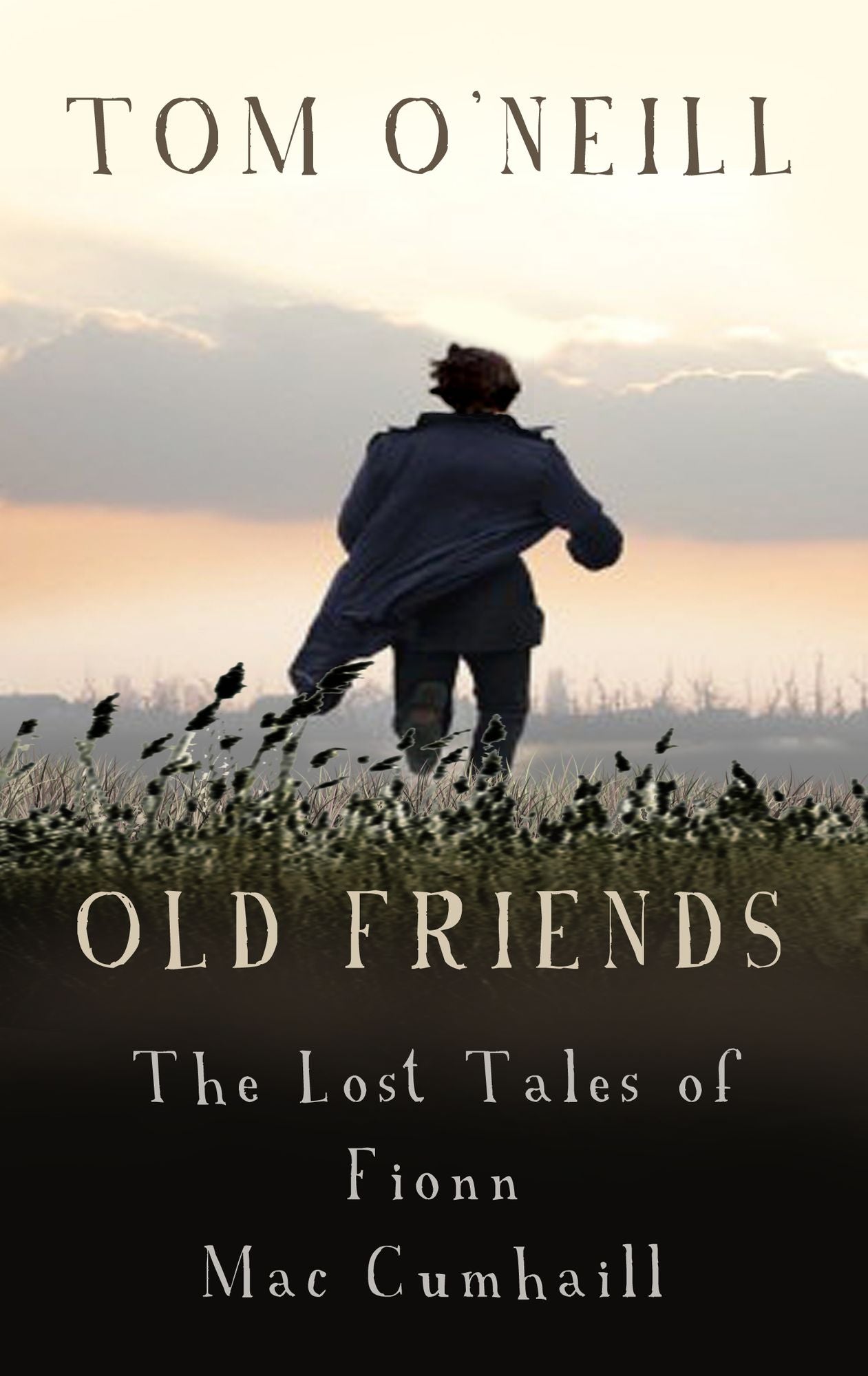 Old Friends: The Lost Tales of Fionn Mac Cumhaill