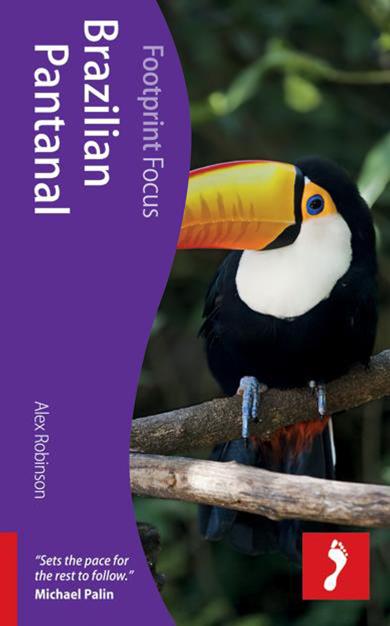 Brazilian Pantanal