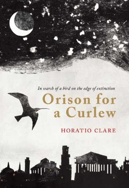 Orison for a Curlew: In Search for a bird on the edge of extinction