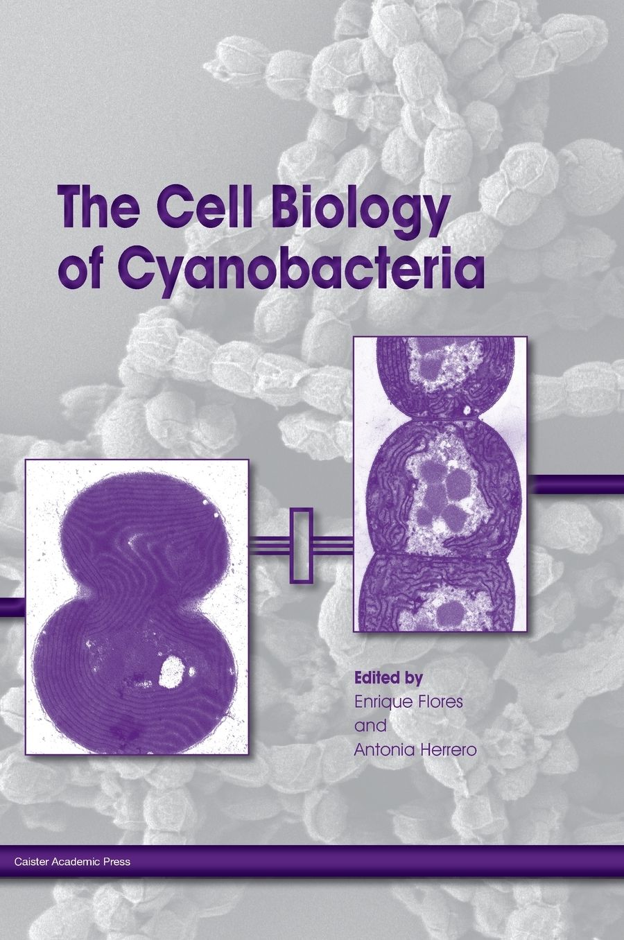 The Cell Biology of Cyanobacteria