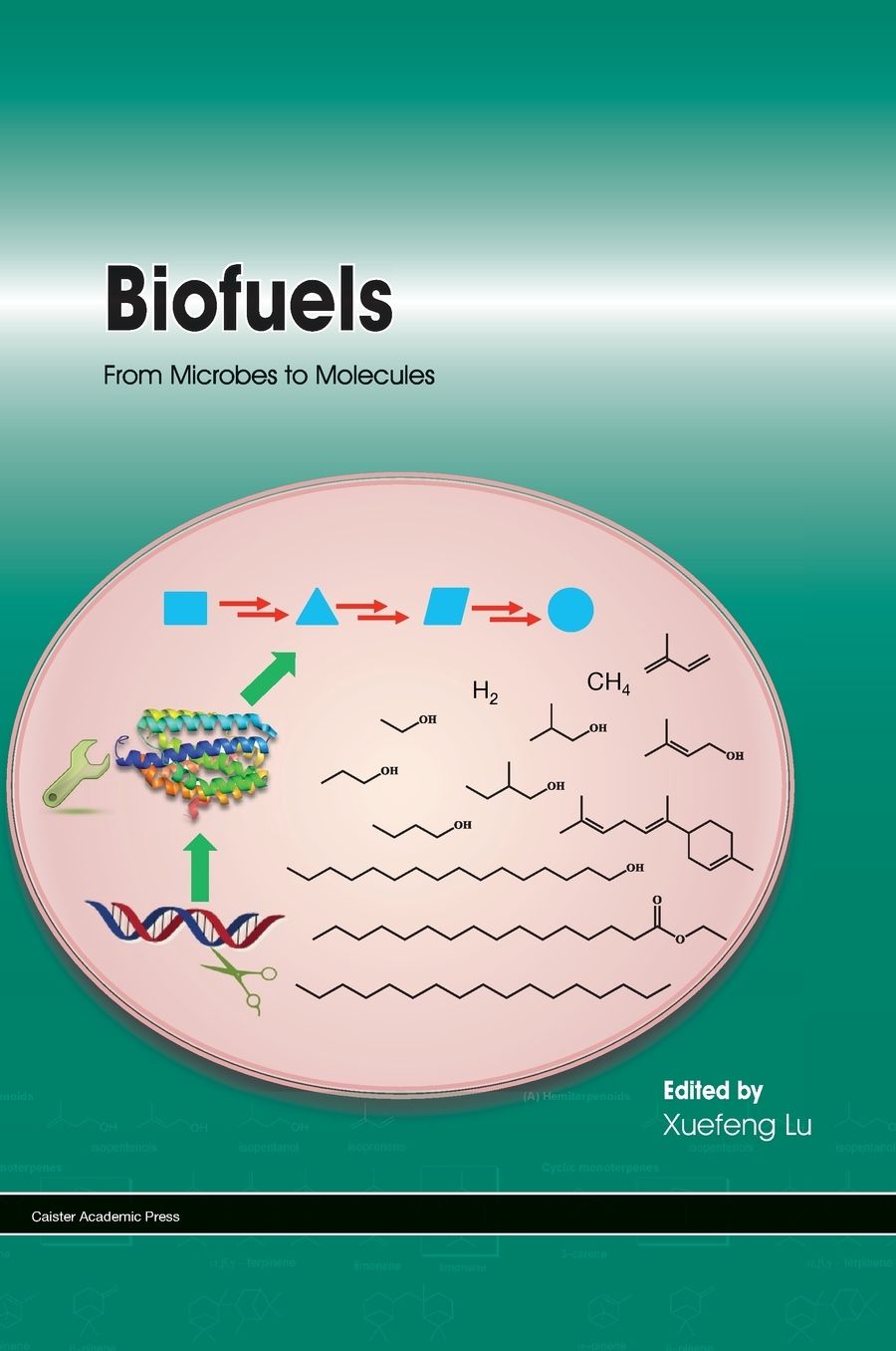Biofuels: From Microbes to Molecules