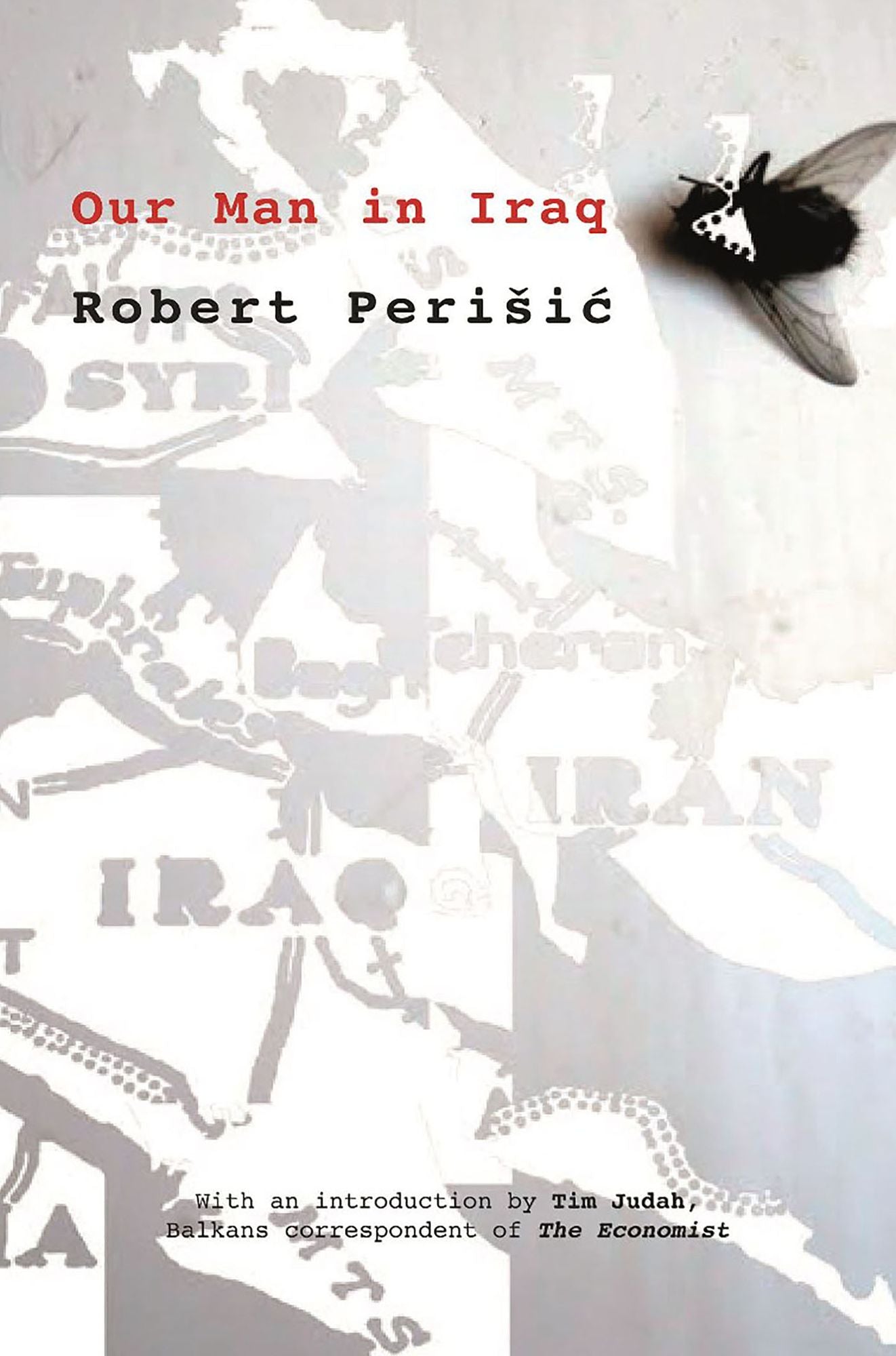 Our Man in Iraq
