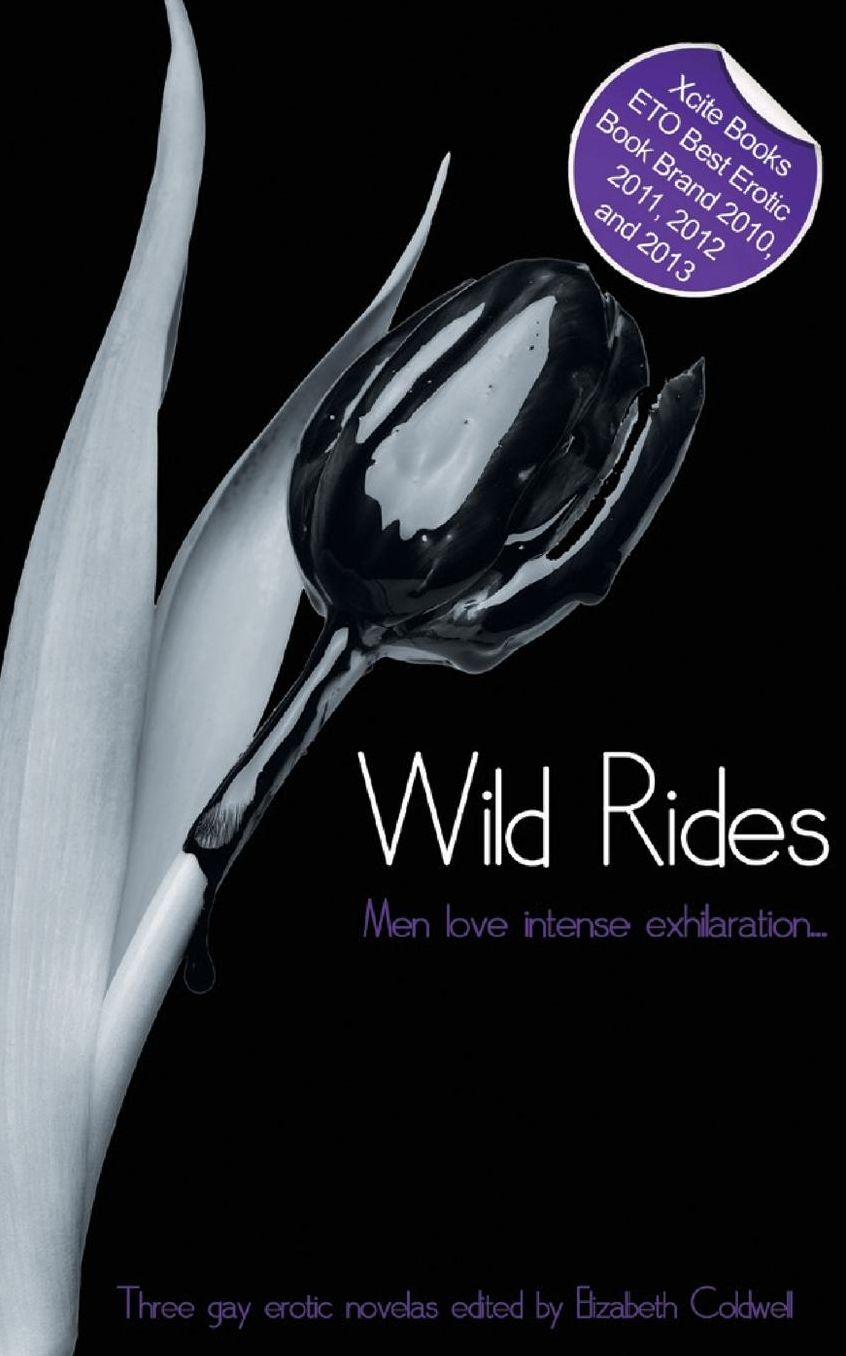 Wild Rides: Three Gay Novellas