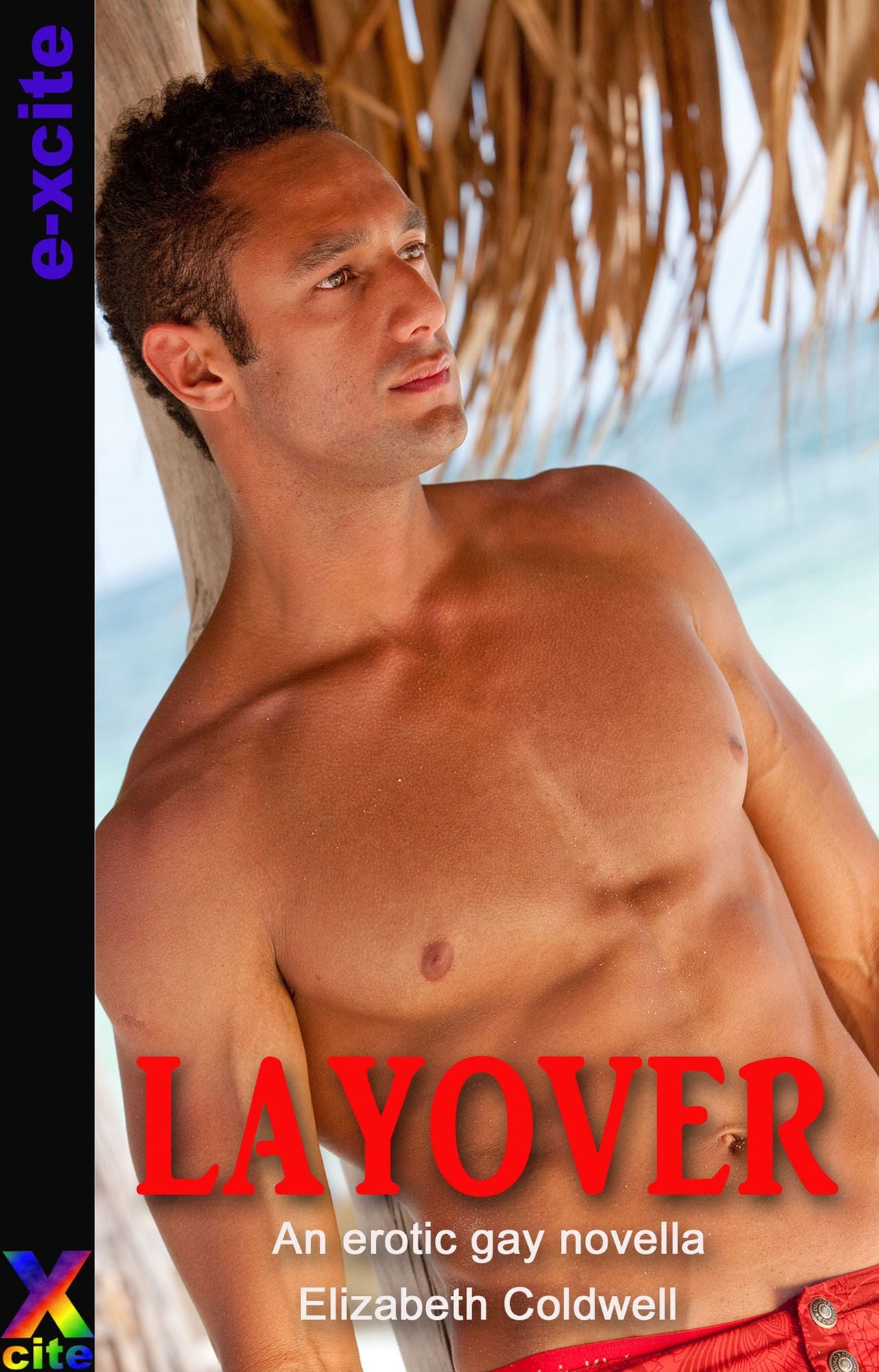 Layover: An erotic gay novella