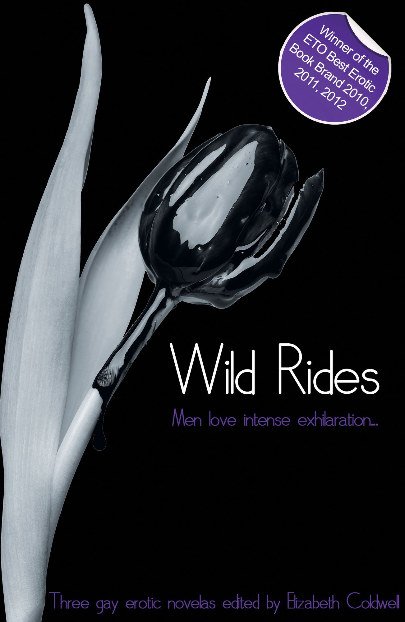 Wild Rides: Three erotic gay novellas