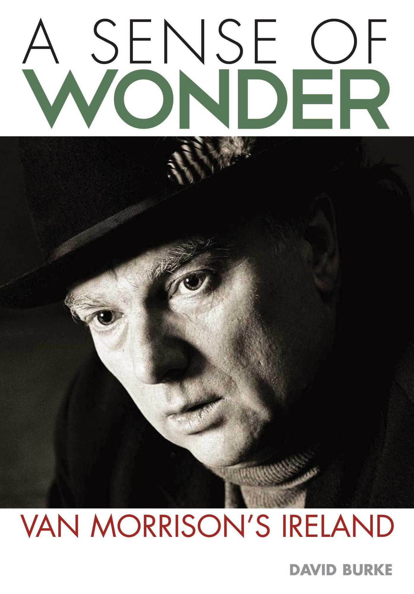 A Sense Of Wonder: Van Morrison's Ireland